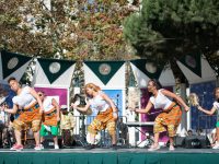 Bay Area Bold Festival