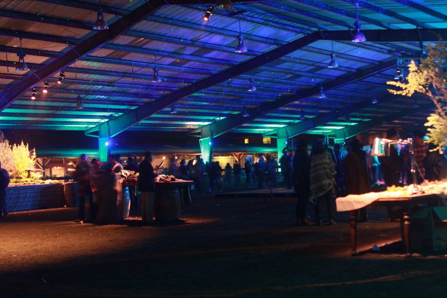 Pixar’s The Good Dinosaur Wrap Celebration