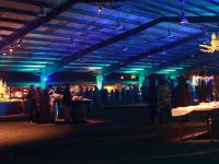 Pixar’s The Good Dinosaur Wrap Celebration