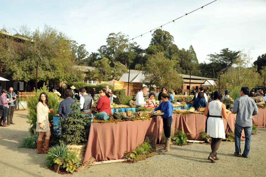 Pixar’s The Good Dinosaur Wrap Celebration