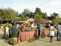 Pixar’s The Good Dinosaur Wrap Celebration