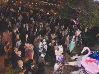 TNDC Celebrity Pool Toss