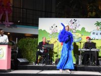 TNDC Celebrity Pool Toss