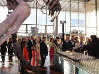 ISAPS International Society of Aesthetic Plastic Surgery Opening & Closing Ceremonies