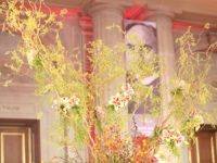 ISAPS International Society of Aesthetic Plastic Surgery Opening & Closing Ceremonies