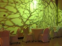 Pixar’s “Wall*E” Wrap Party