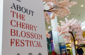 SFO Cherry Blossom Activations
