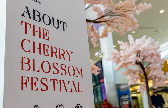 SFO 22 Cherry Blossom Activation